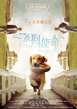 性小视频